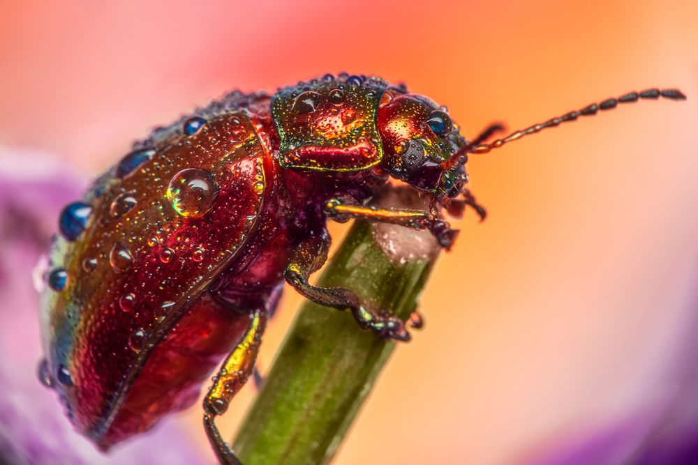 Photograph by Дмитрий Огольцов