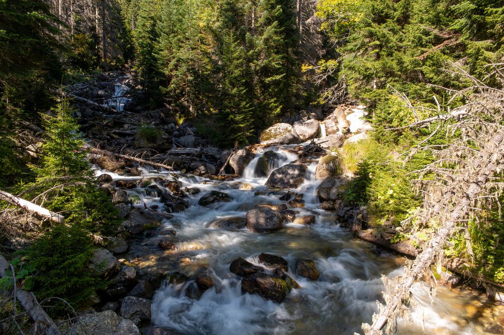 Photograph by Иван Губский