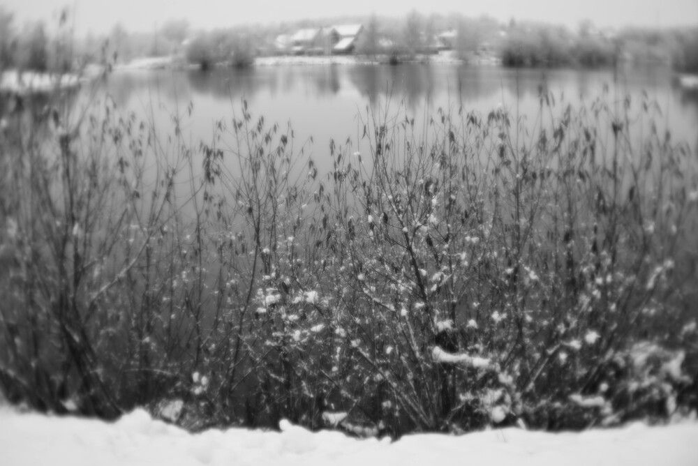 Photograph by Светлана Гаврикова