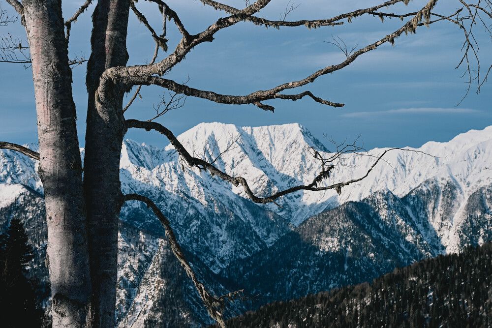 Photograph by Настя Федюнина