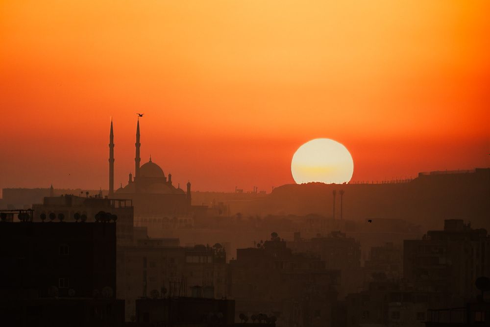 Фотография автора Sarrah Yehia