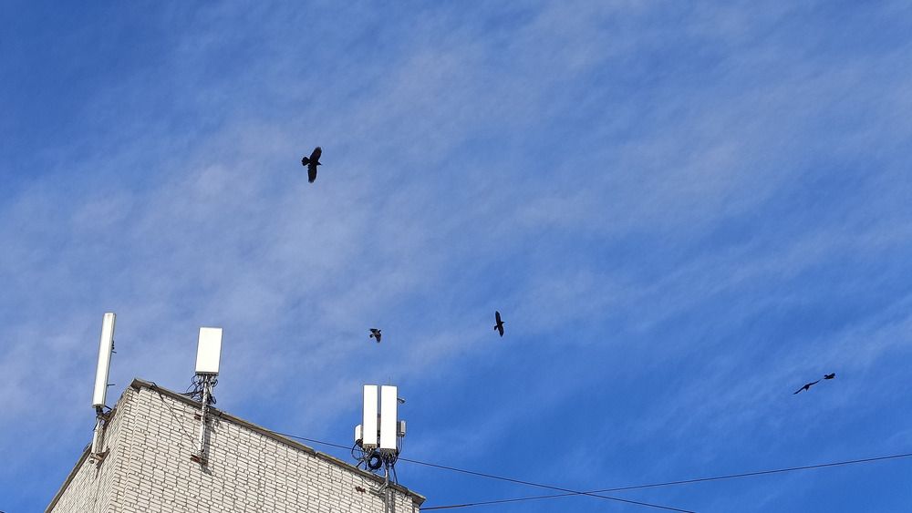 Photograph by Иван Левин