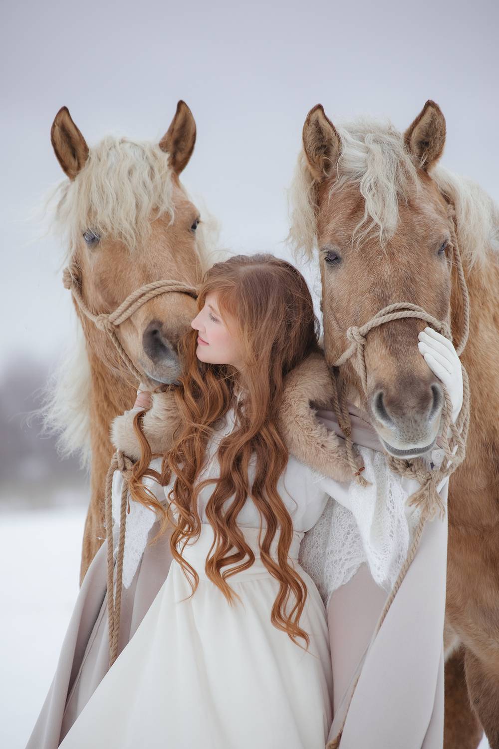 Фотография #13337514