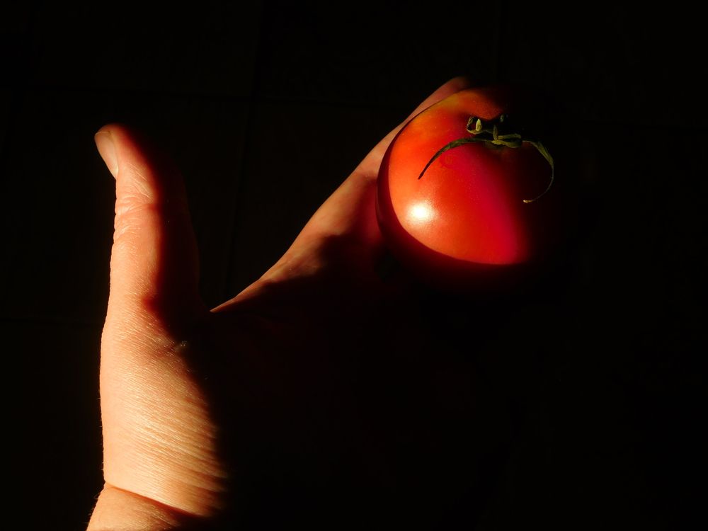 Photograph by Darya Dolinina