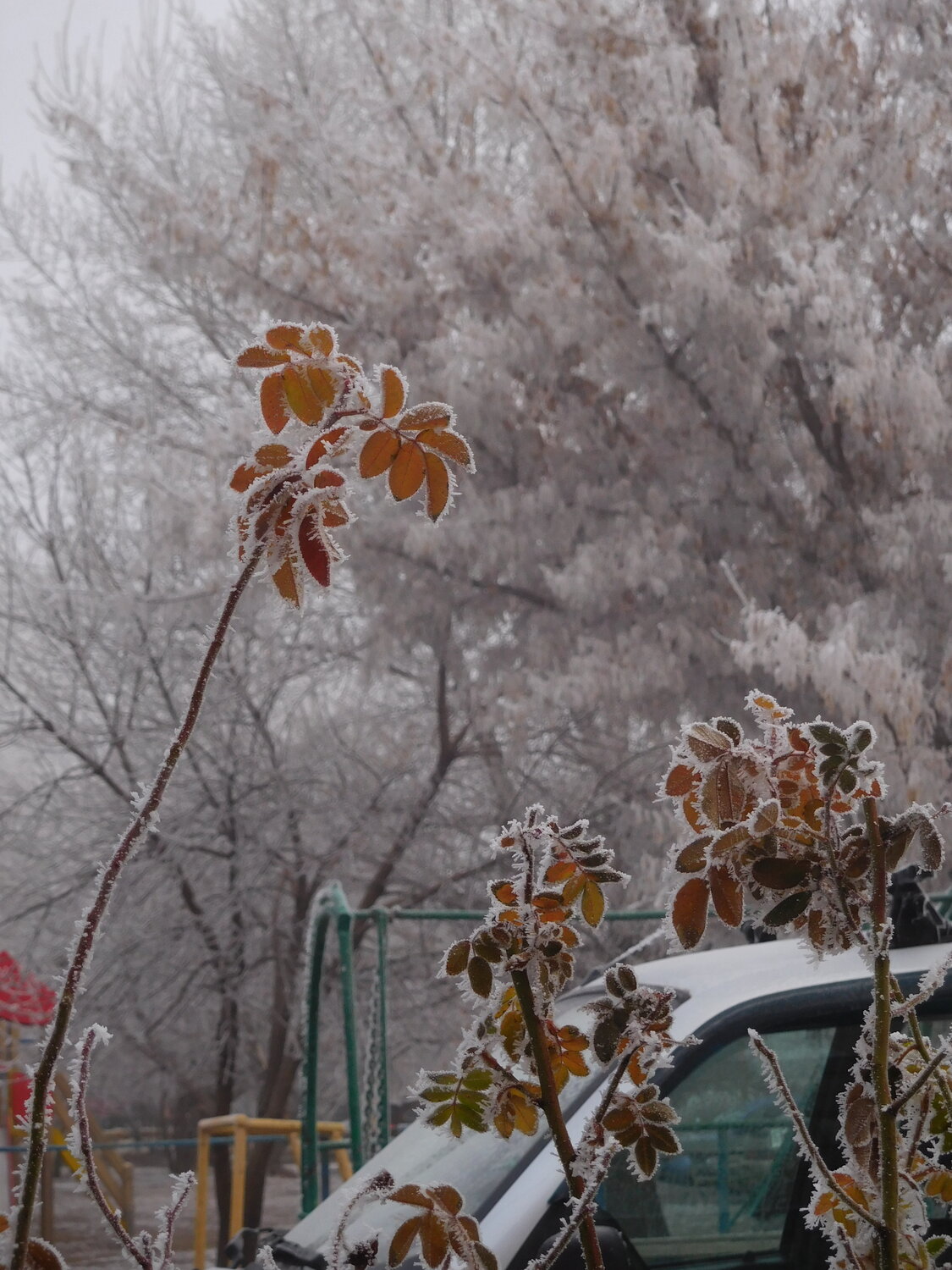 Photo #13337599