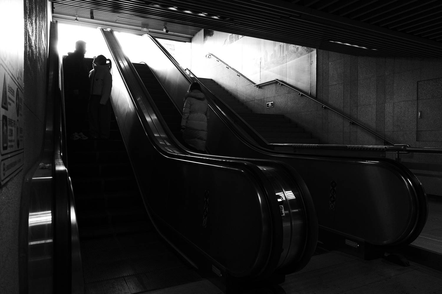 Photo #13337652