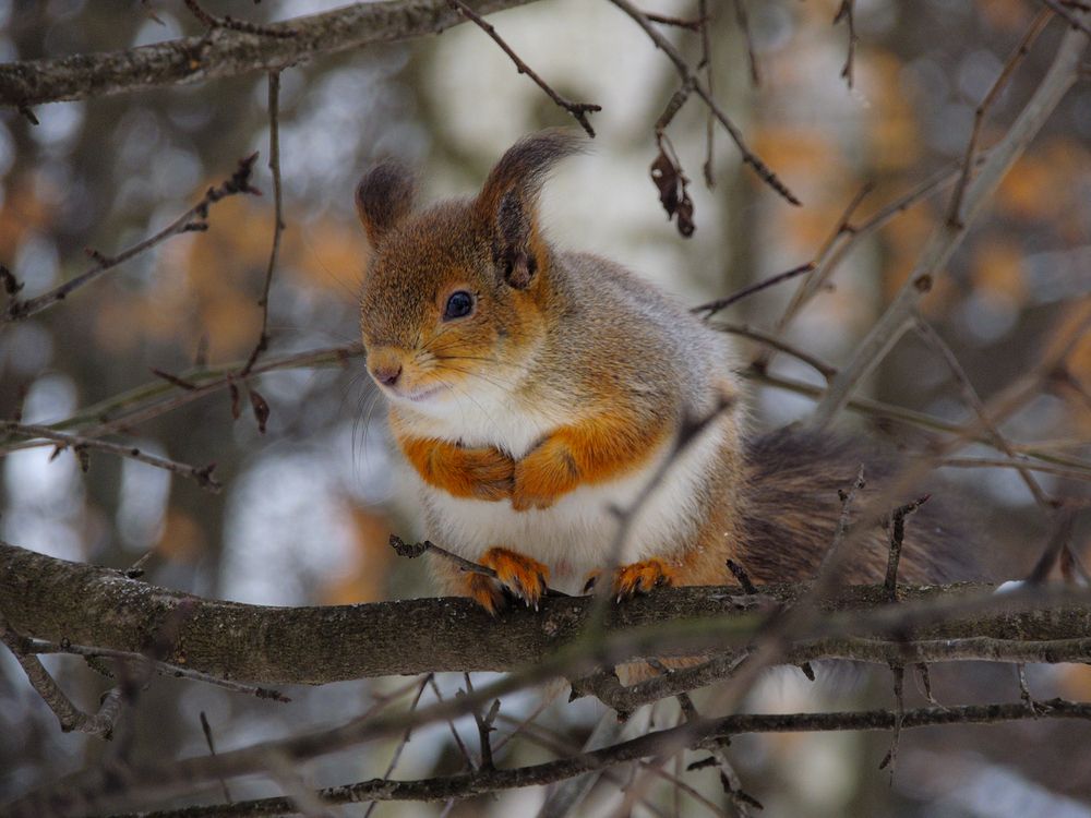 Photograph by Наталья Балабанова