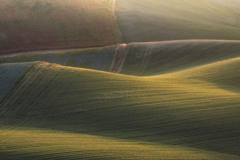 Photograph by Michele Ciaramella