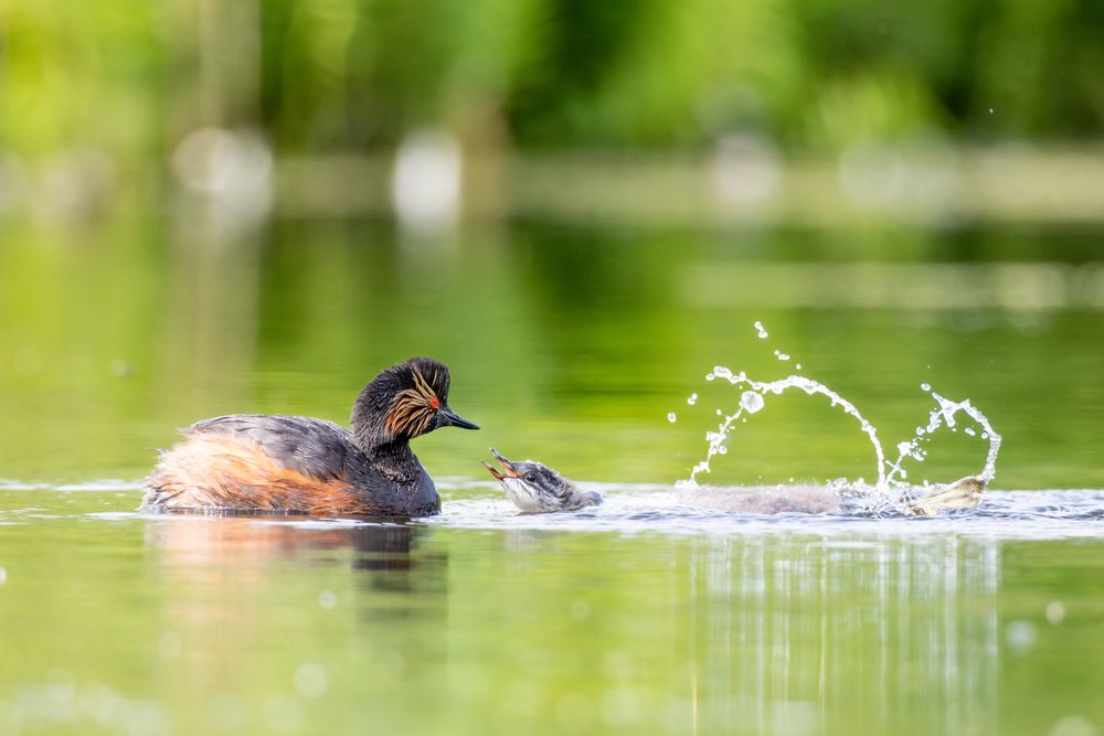 Photograph by Гукасян Геворк