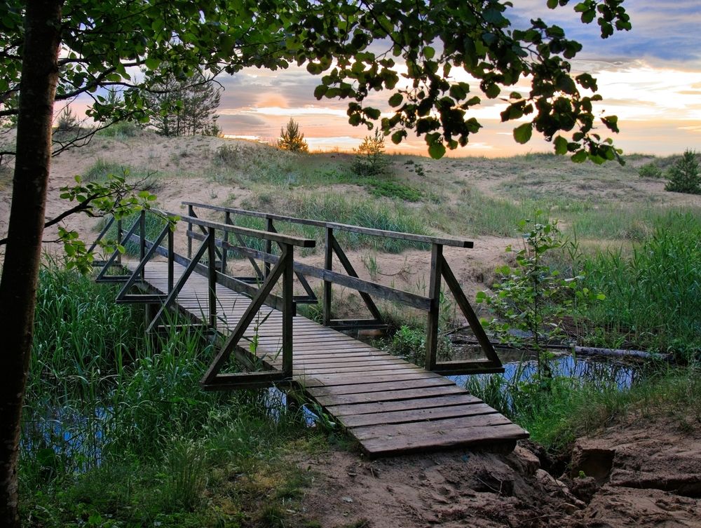 Timber bridge in amber hush.