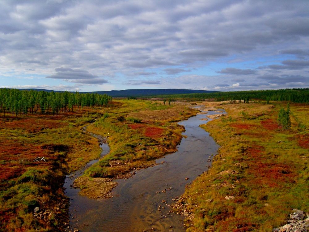 Photograph by Михаил Мархинин