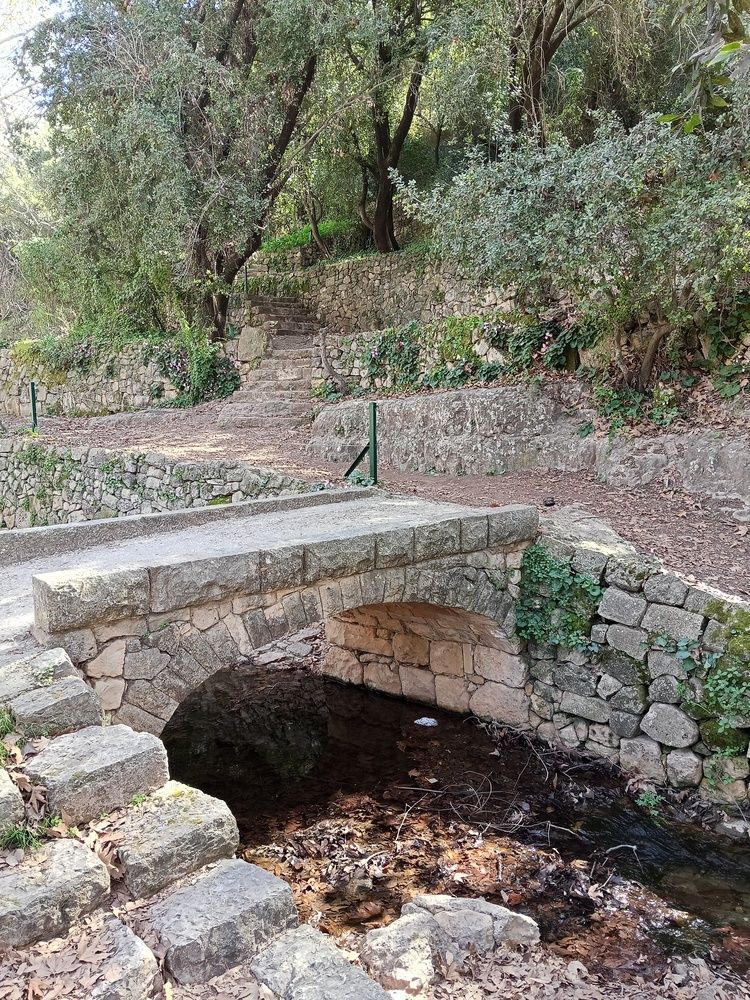 Photo #13337805