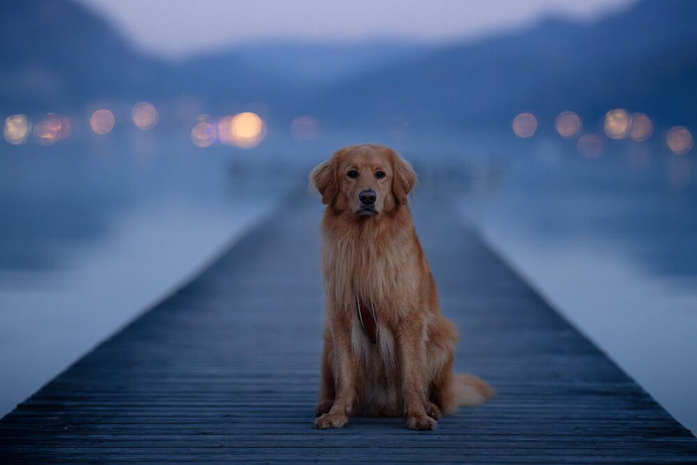 Photograph by Maja Esch