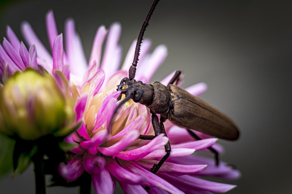 Photograph by Алексей Мякота