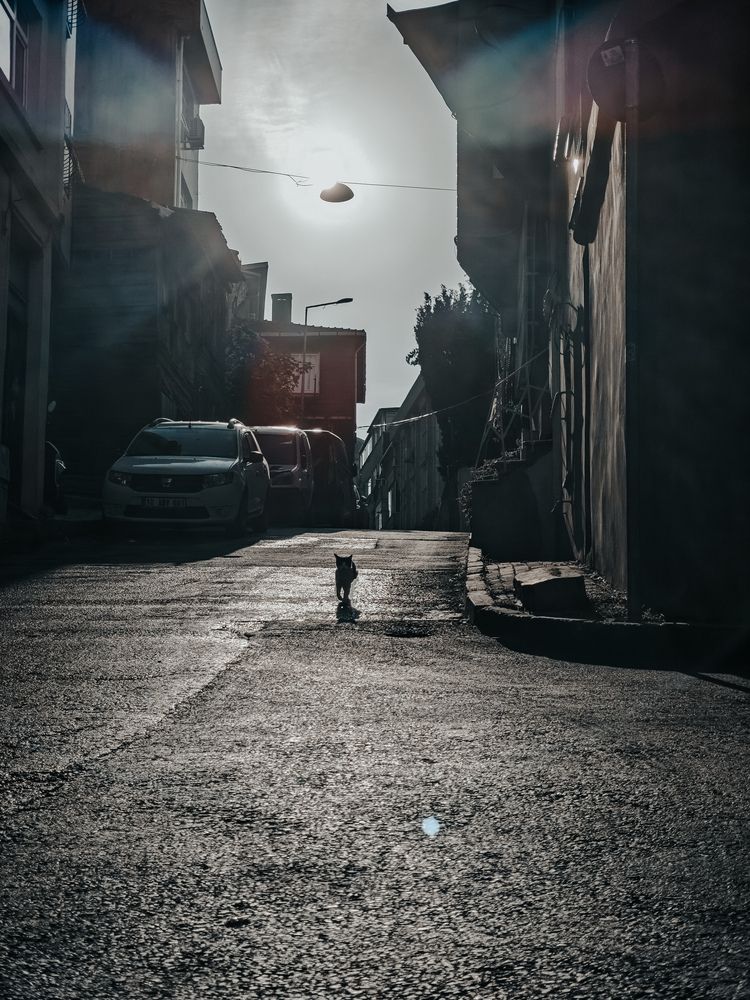 Photograph by Руслан