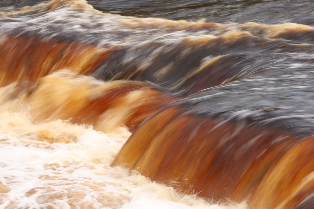 Фотография автора Яна Егорова