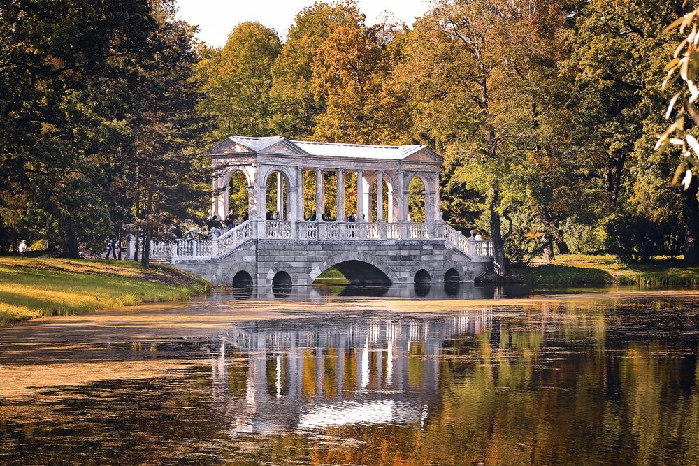 Фотография автора Анатолий Дауров