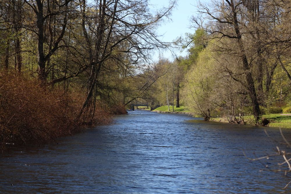 Фотография автора Яна Егорова