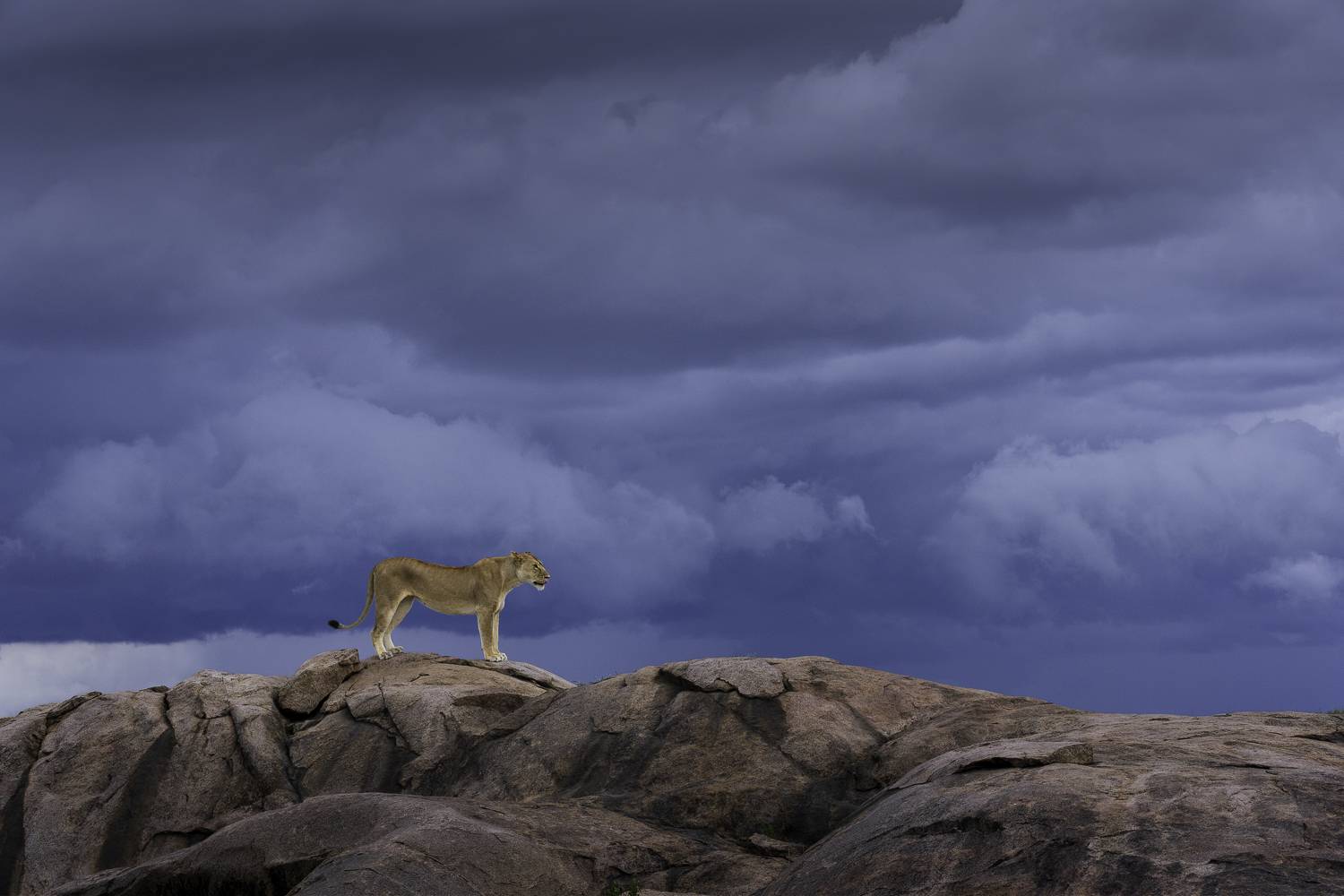 Фотография #13337981