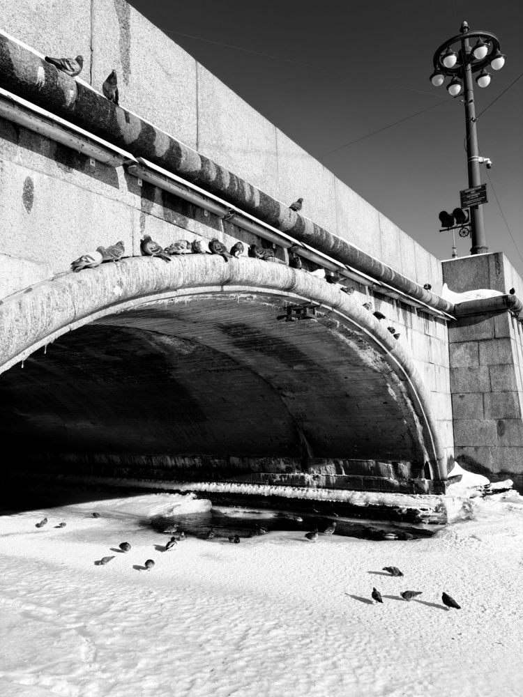 Photo #13337990