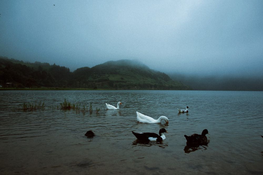 Photograph by Cristina Cruz García