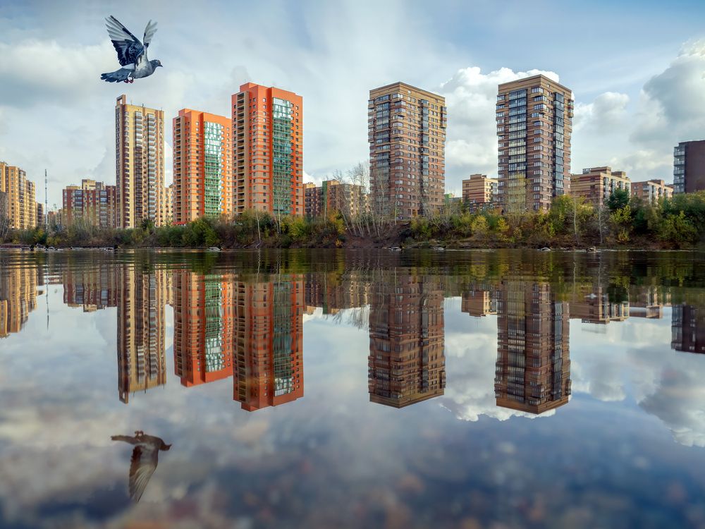 Фотография автора Вадим Серебреников