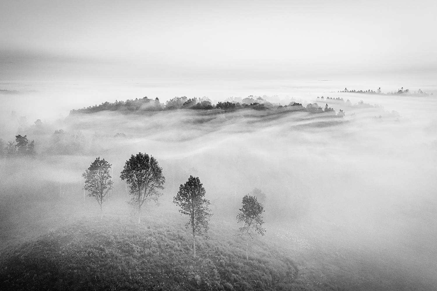Photo #13338082