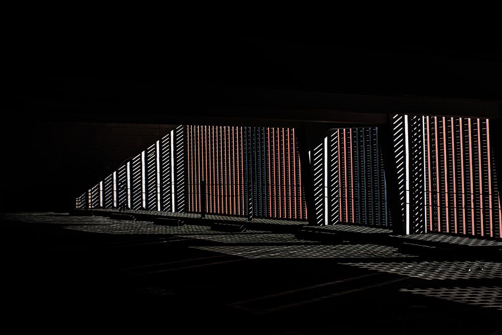 Light in Captivity