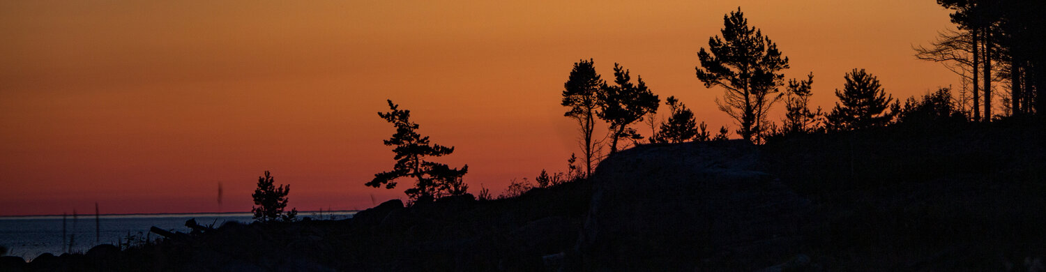 Photo #13338276