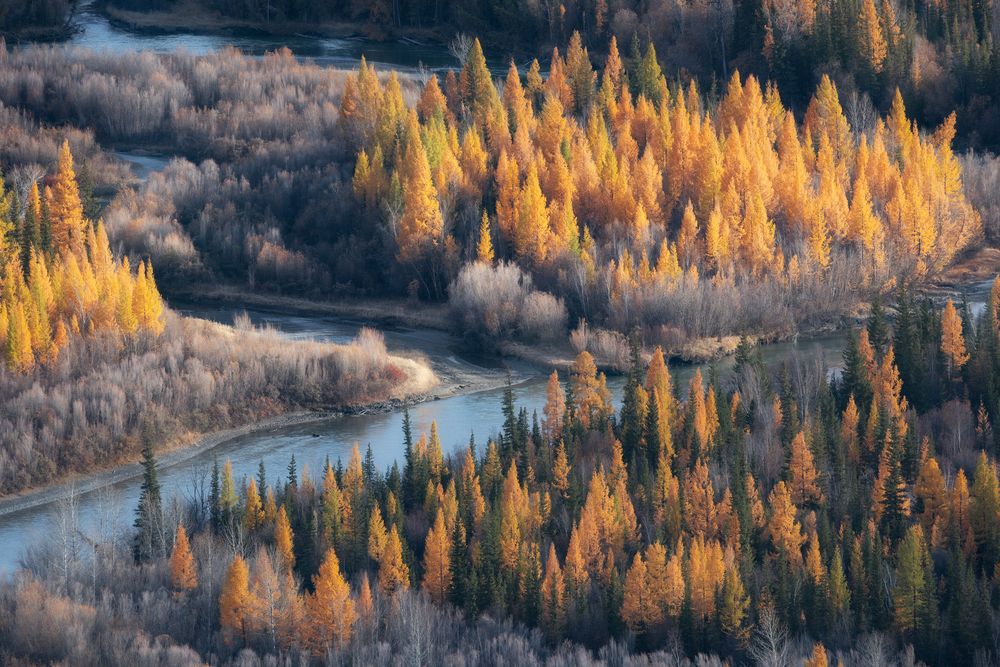 Фотография автора Кондратенко Руслан