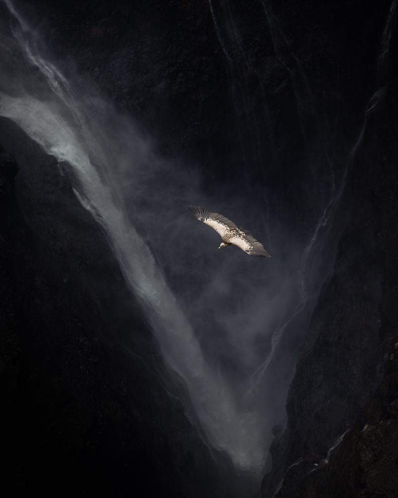 Photograph by Pierluigi Nisi
