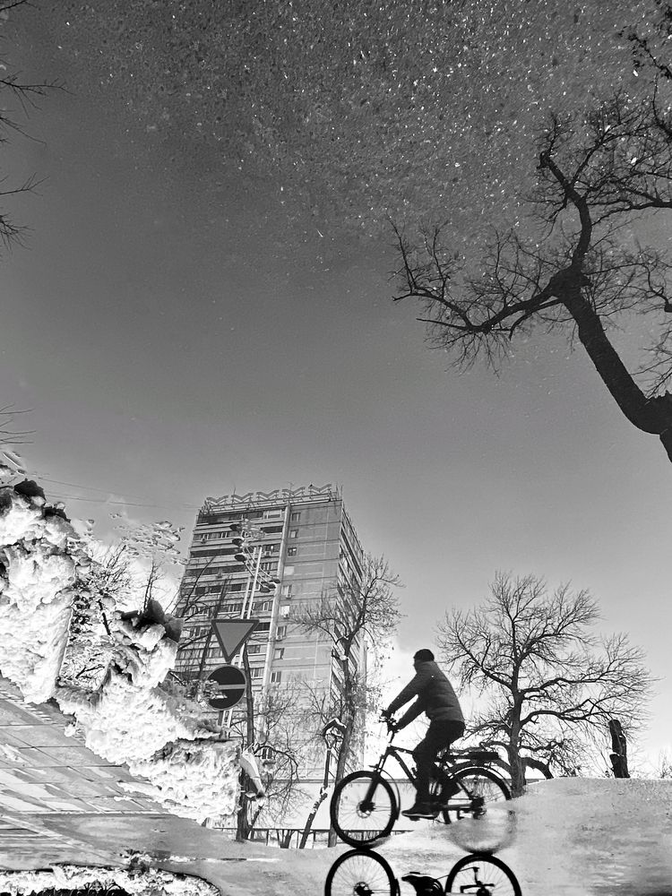 Фотография автора Юлия Голубкова