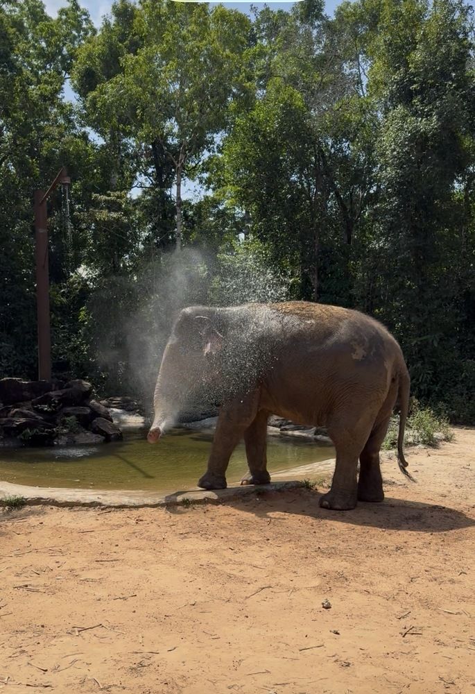 Photograph by оксана