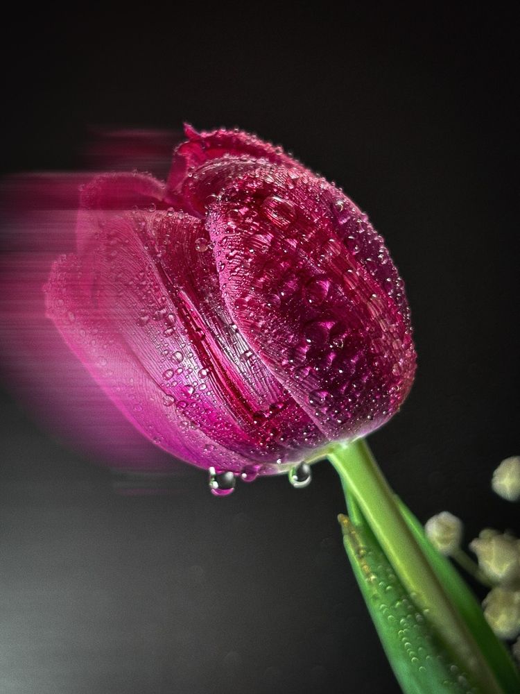 Photograph by Юлия Куклина