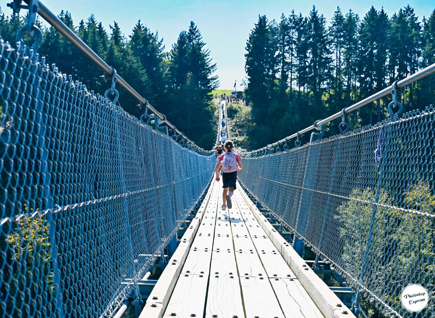 Фотография #13338488