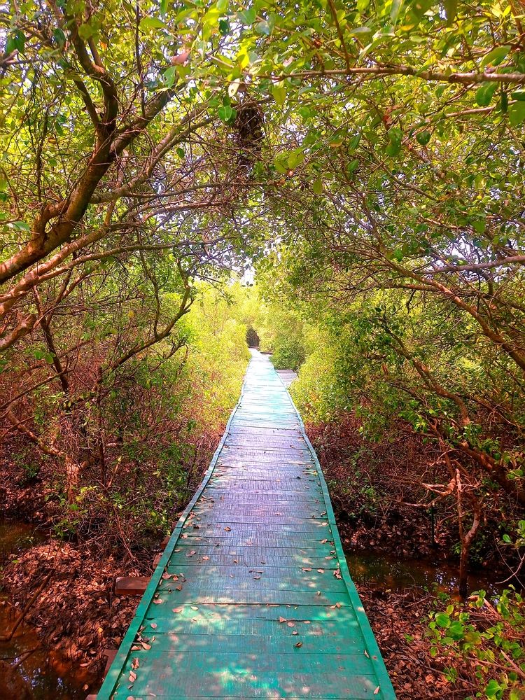 Into The Woods