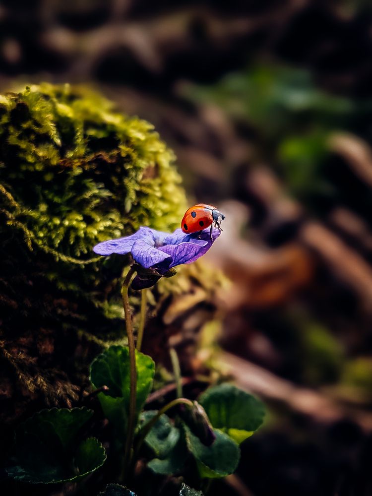 Фотография автора Margarita Naumczyk