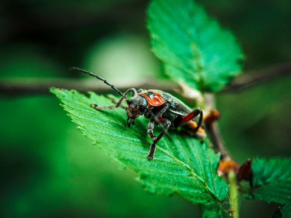 Фотография автора Margarita Naumczyk
