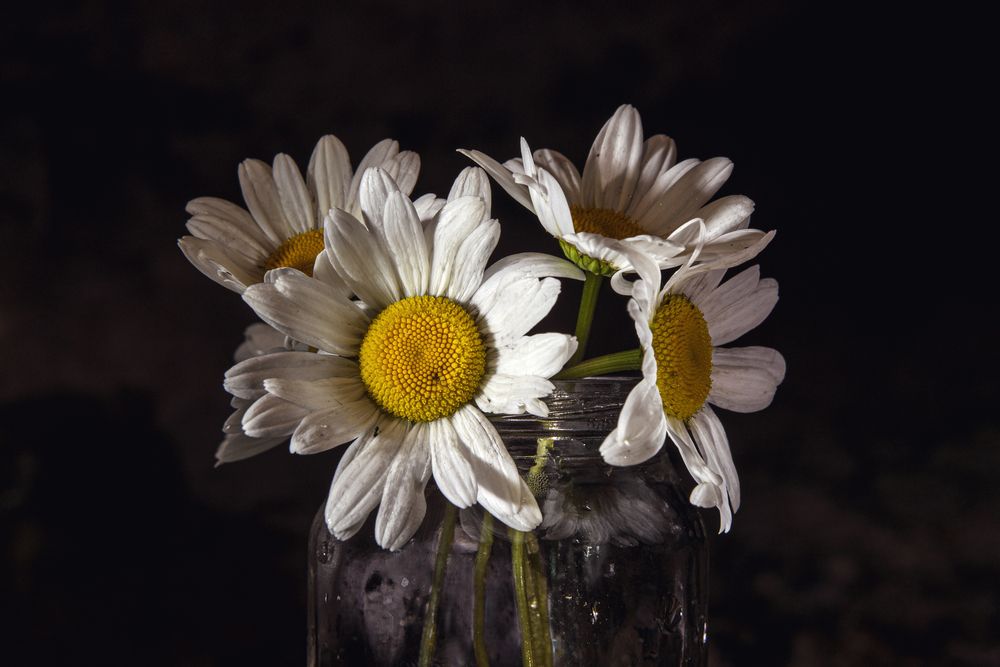 Photograph by Татьяна