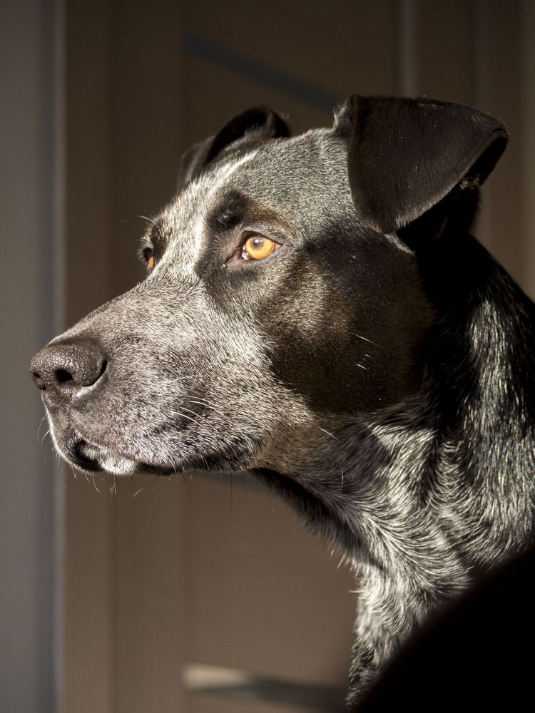 Задумчивость