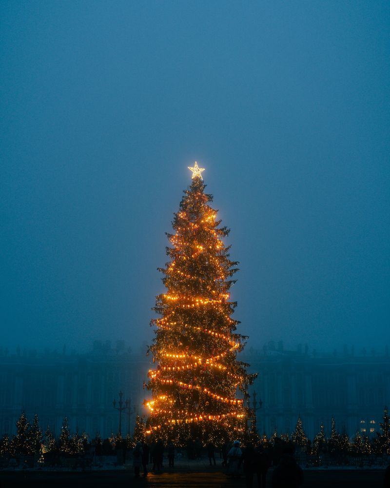 Photograph by Никита Коровкин