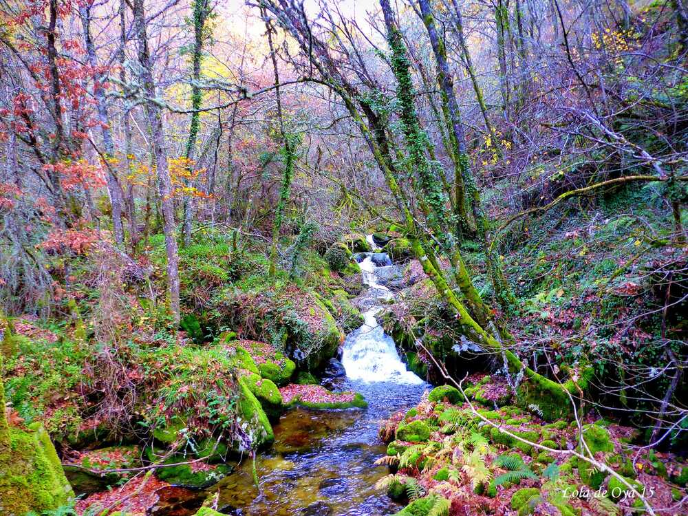 Photograph by Lola de Oya García