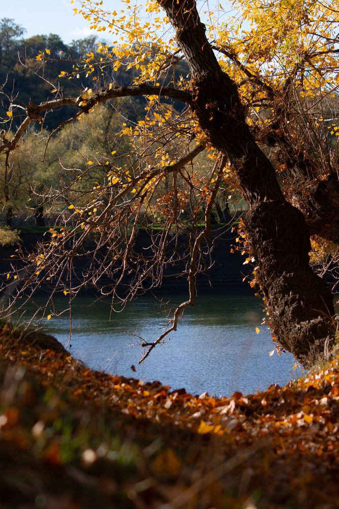 Photograph by Елена Бодак