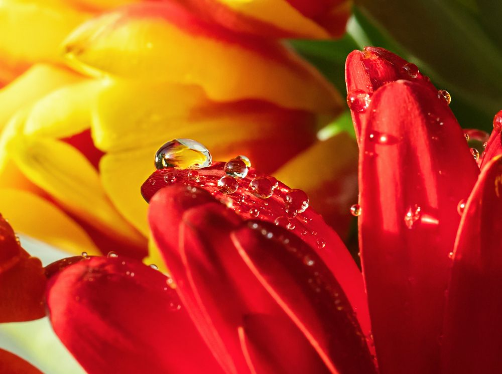 Фотография автора Наталья Василькова