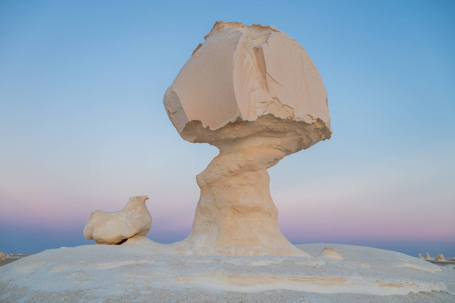 Под грибком