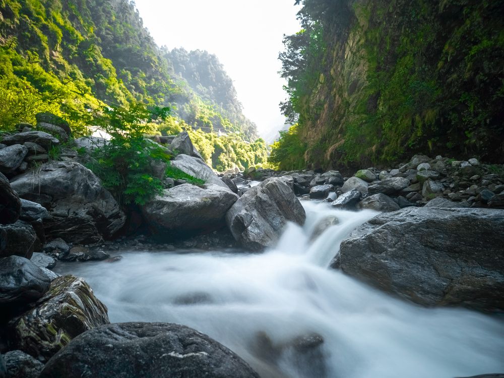 Фотография автора Dhruv Jangid