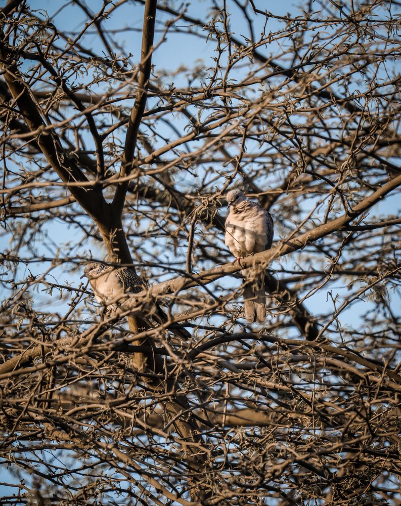 Фотография автора Dhruv Jangid