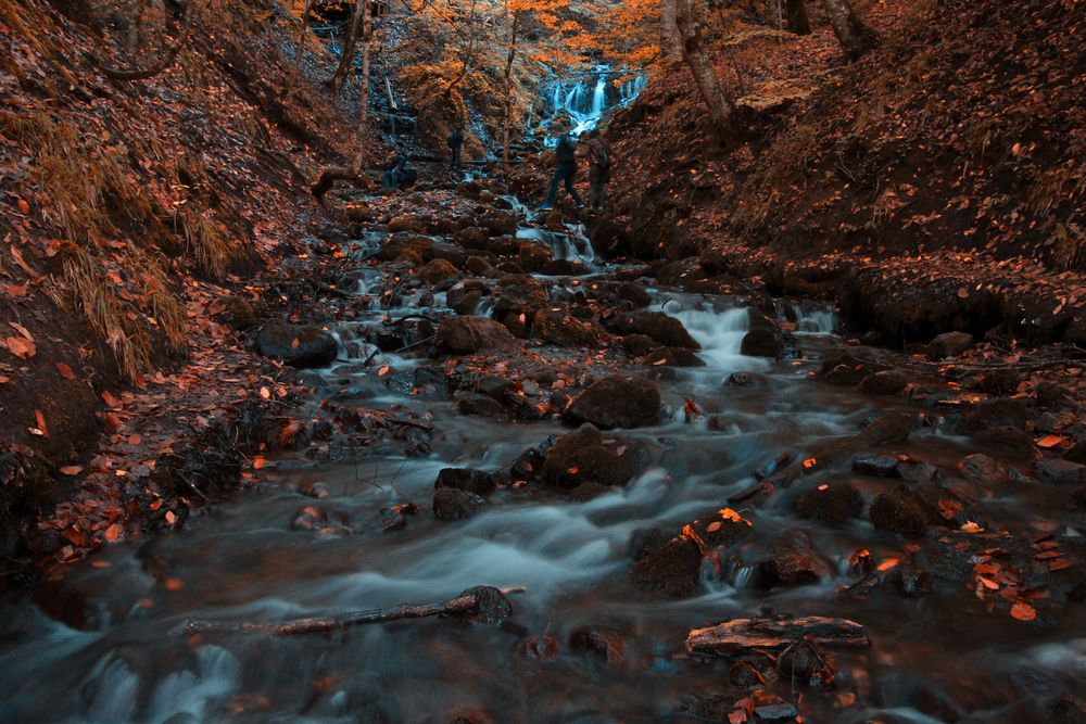 Photograph by Muhammed Diler