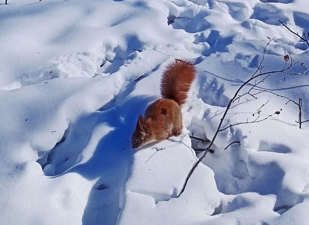 Photograph by Евгений Каримов
