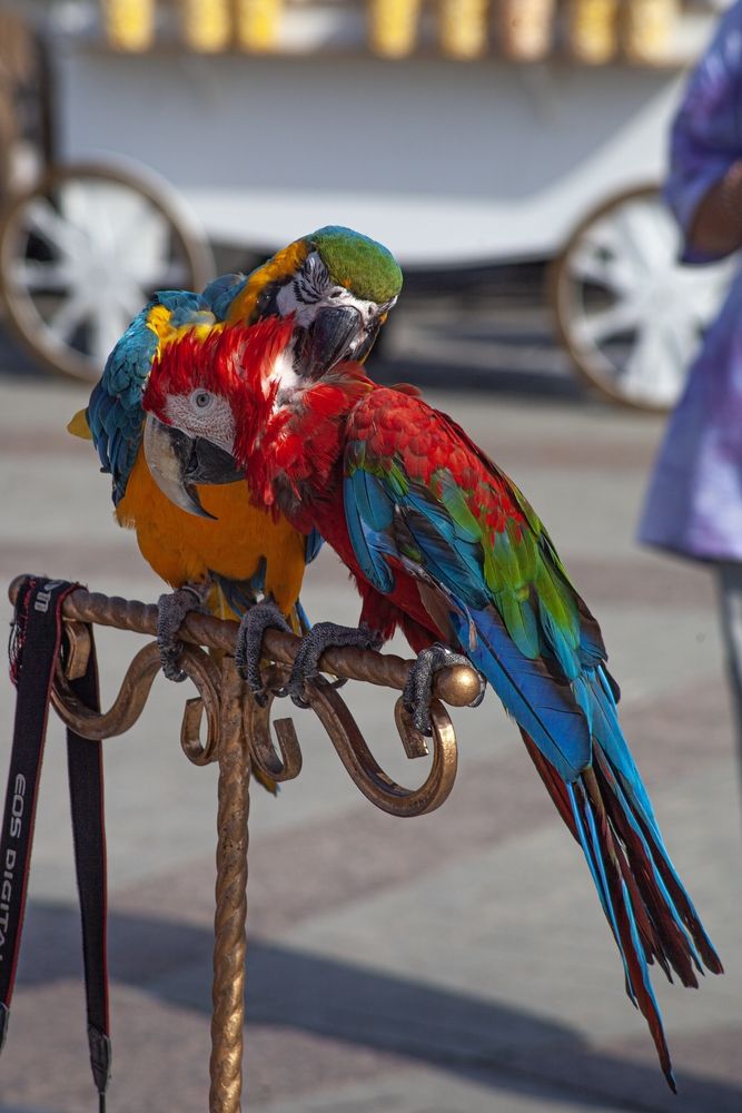 Photograph by Fedorov Denis